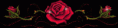/album/galleria-foto-homepage4/image-2-gif/